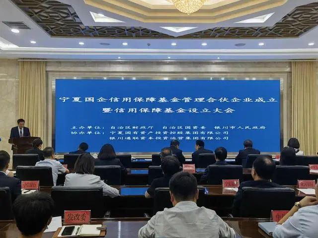 資訊丨30億！寧夏設(shè)立國有企業(yè)信用保障基金，完善區(qū)域金融穩(wěn)定機(jī)制