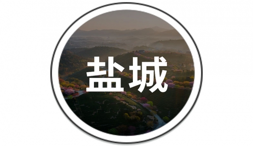   鹽城：設(shè)立30億的還貸過橋資金池、20億債務(wù)風險化解周轉(zhuǎn)金