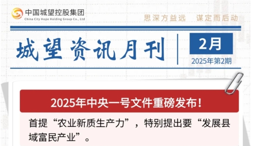 城望資訊2月刊丨中央一號文件重磅發(fā)布！全國首單數(shù)據(jù)資產(chǎn)作價入股落地？