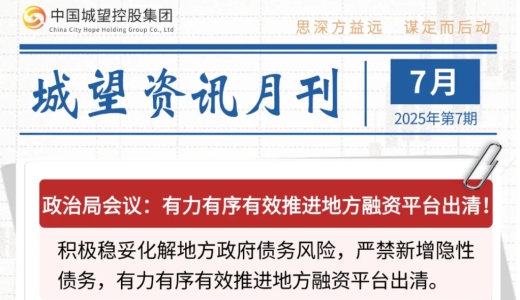城望資訊7月刊丨有力有序有效推進(jìn)地方融資平臺出清！