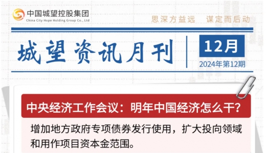城望資訊12月刊丨明年中國經(jīng)濟怎么干？