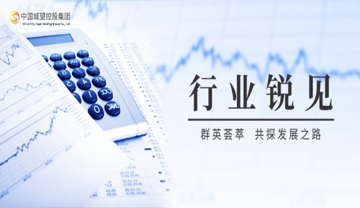 銳見丨年內(nèi)實(shí)現(xiàn)“新增”債券的“地方主體”有何特點(diǎn)？