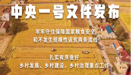 【2022年中央一號(hào)文件】穩(wěn)住農(nóng)業(yè)基本盤 接續(xù)全面推進(jìn)鄉(xiāng)村振興